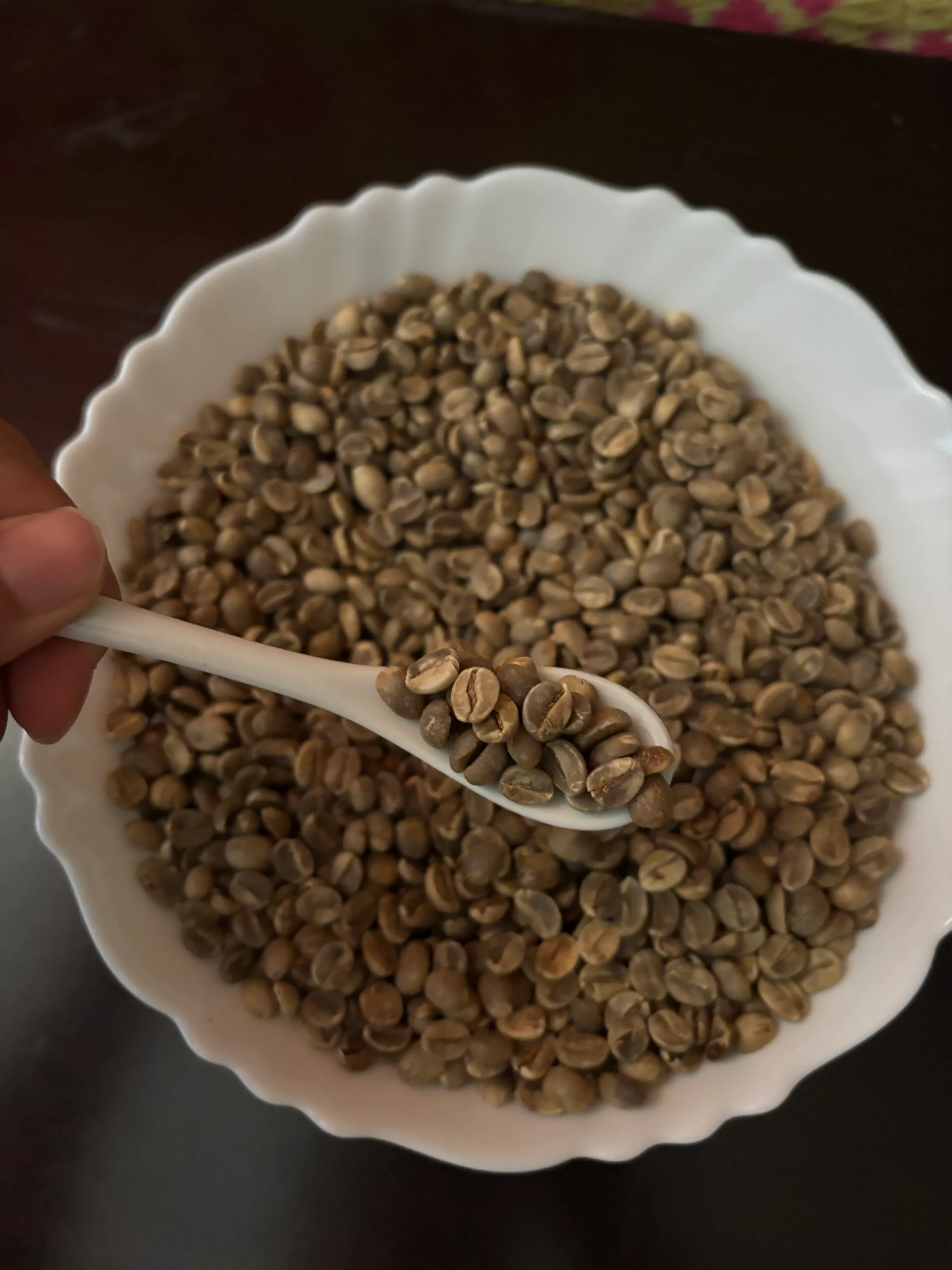 Wayanad Specialty Blend coffee from the highlands of Kerala