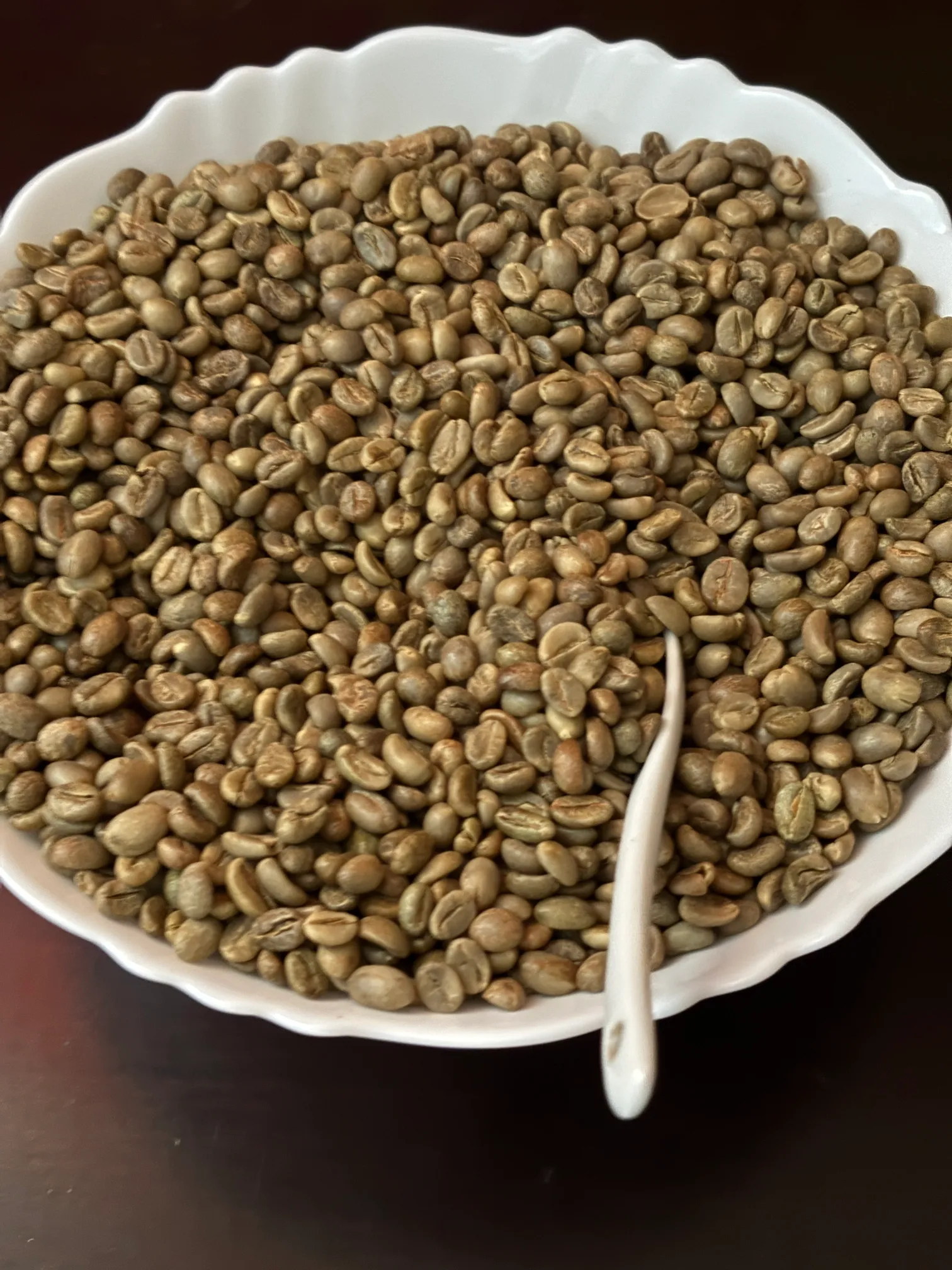 Koraput Arabica coffee from the tribal highlands of Odisha